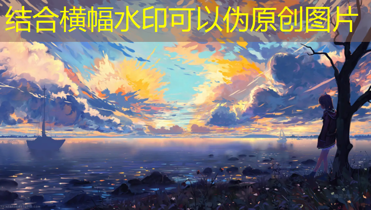 室内健身塑料围挡 室内健身塑料围挡