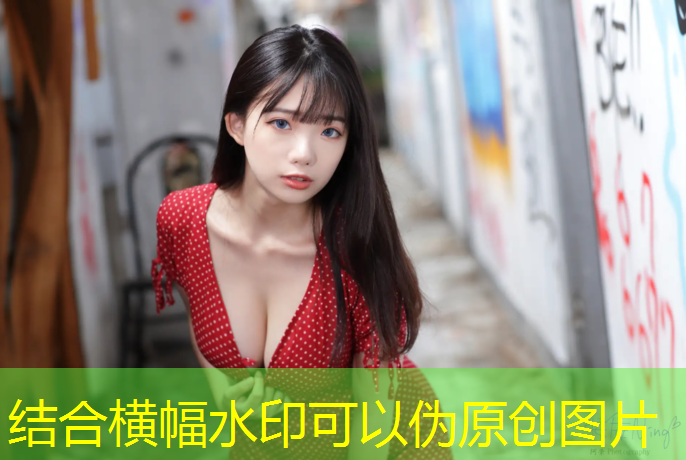 健身房室内适合的花