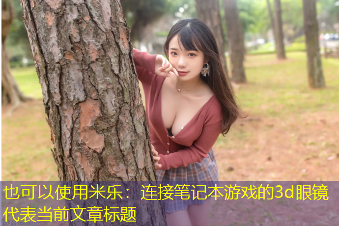 连接笔记本游戏的3d眼镜
